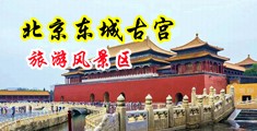 操大胸美女高超balecao免费高超视频免费Tele操大中国北京-东城古宫旅游风景区